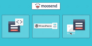 Moosend: A Legitimate Contender