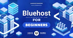 Bluehost Good Beginner Web Hosting Provider