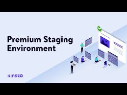 Does Kinsta Offer A Staging Environment