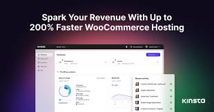 Is Kinsta Good For WooCommerce