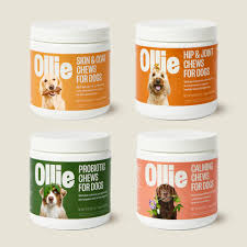 Is Ollie Dog Food Recommended By Vets
