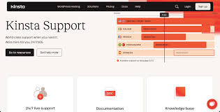 What Kind Of Support Does Kinsta Offer