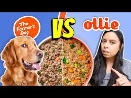 Which One Is Better, Ollie Or Farmer's Dog